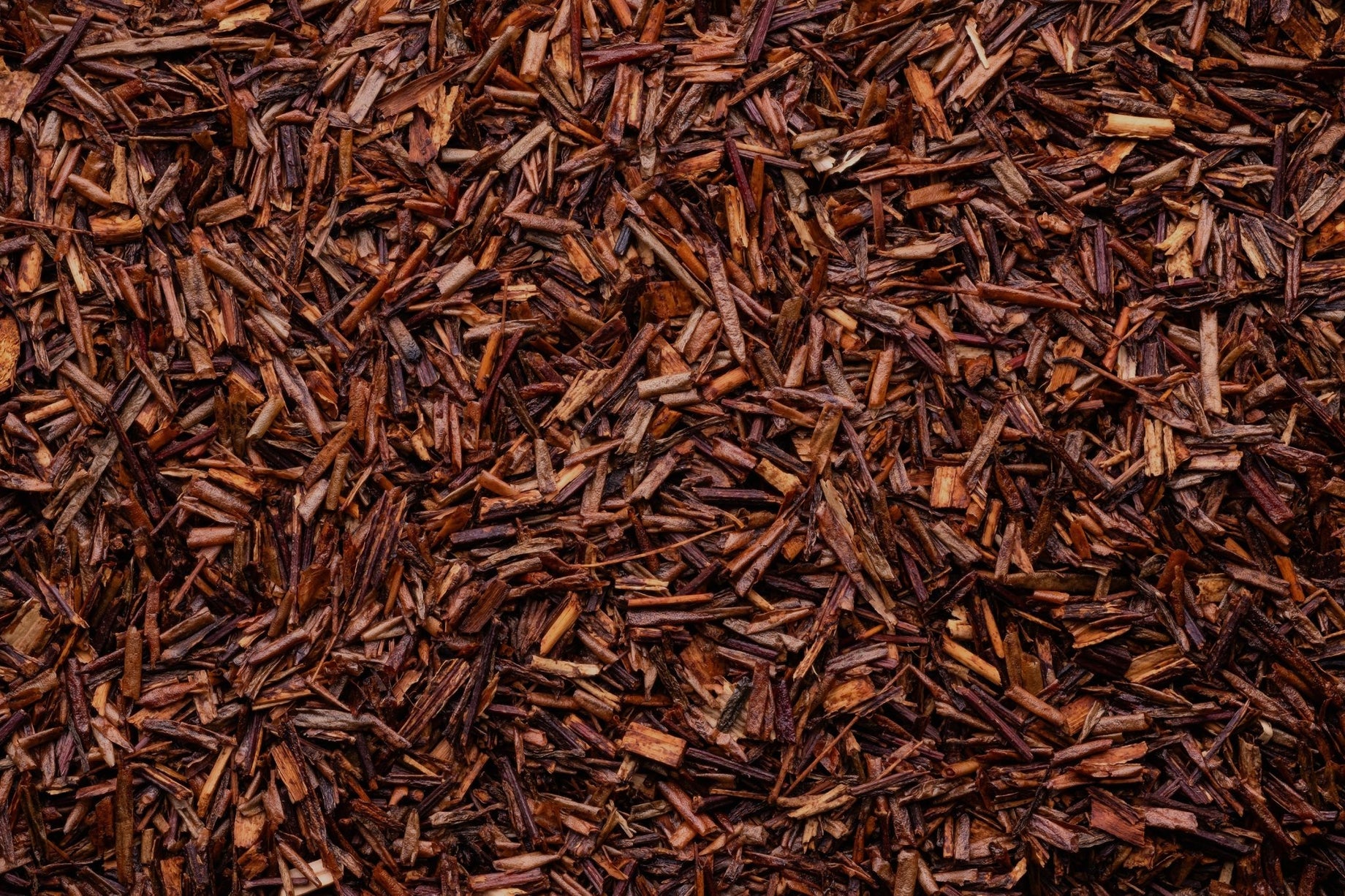 Rooibos rouge ou vert : lequel choisir ?